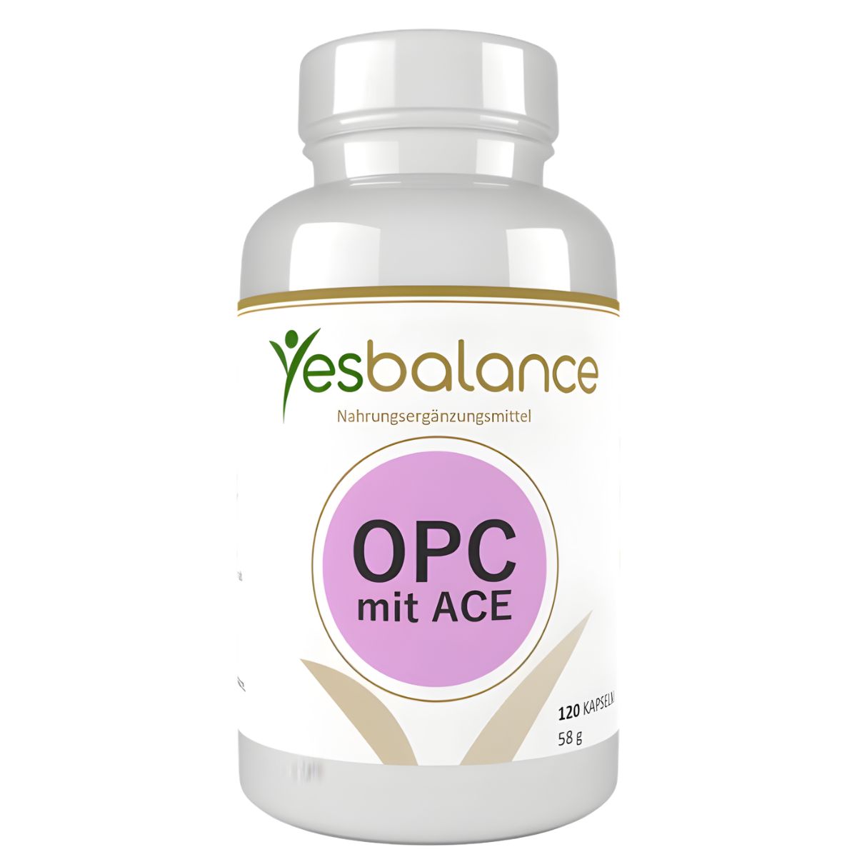 Leber Complex Curcumin und Bromelain Leber Complex Curcumin und Bromelain