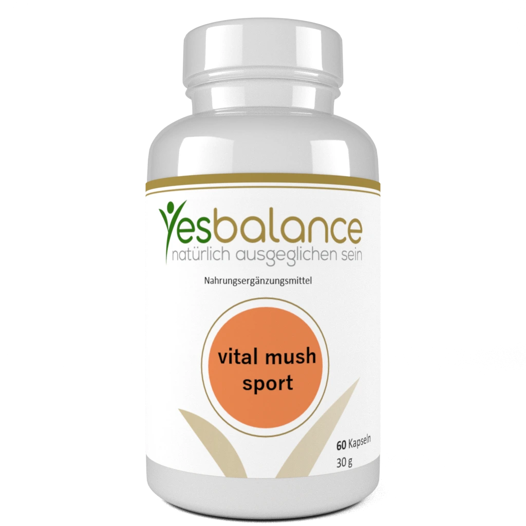 Leber Complex Curcumin und Bromelain Leber Complex Curcumin und Bromelain